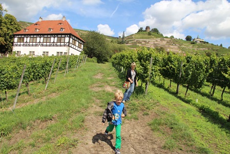 Weingut Hoflößnitz